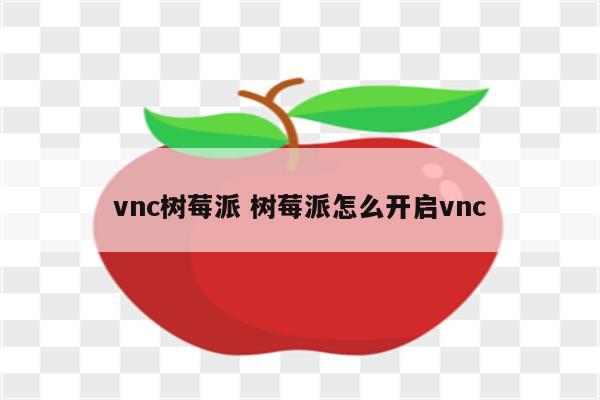 vnc树莓派 树莓派怎么开启vnc