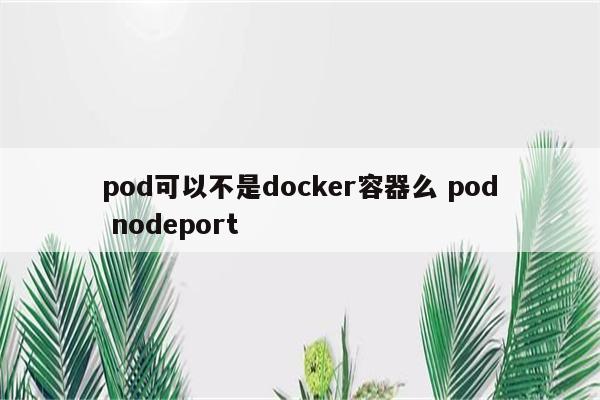 pod可以不是docker容器么 pod nodeport