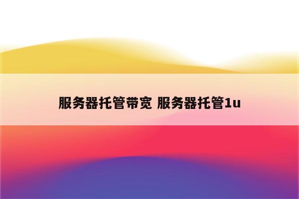 服务器托管带宽 服务器托管1u