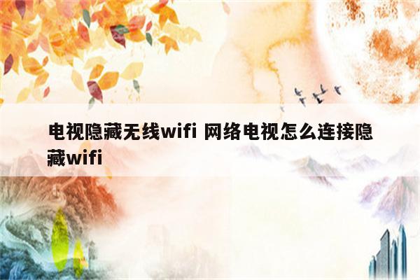 电视隐藏无线wifi 网络电视怎么连接隐藏wifi