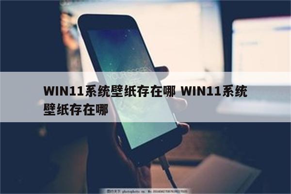 WIN11系统壁纸存在哪 WIN11系统壁纸存在哪