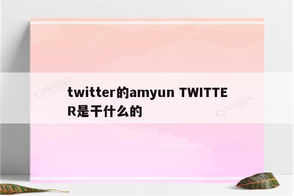 twitter的amyun TWITTER是干什么的