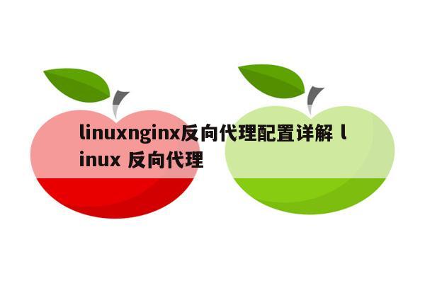 linuxnginx反向代理配置详解 linux 反向代理
