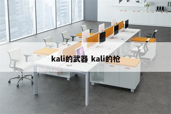 kali的武器 kali的枪