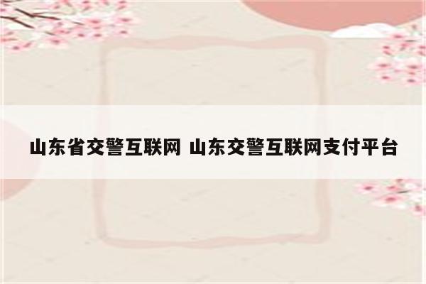 山东省交警互联网 山东交警互联网支付平台