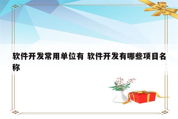软件开发常用单位有 软件开发有哪些项目名称