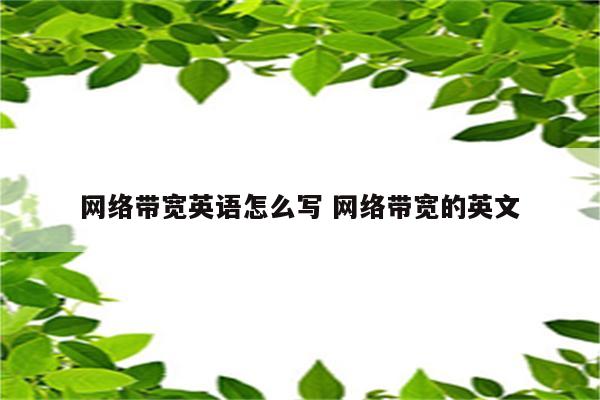 网络带宽英语怎么写 网络带宽的英文