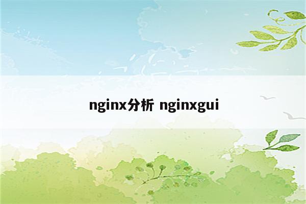 nginx分析 nginxgui