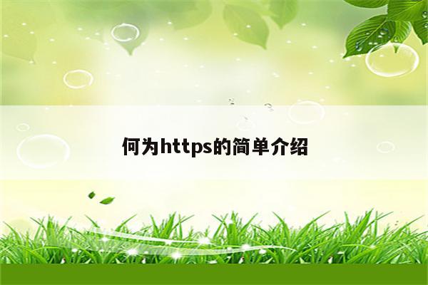 何为https的简单介绍