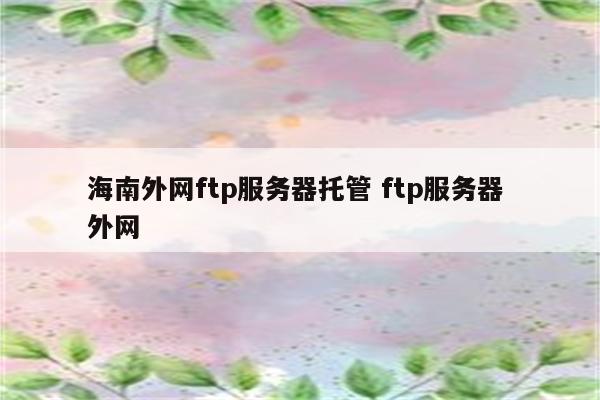 海南外网ftp服务器托管 ftp服务器 外网
