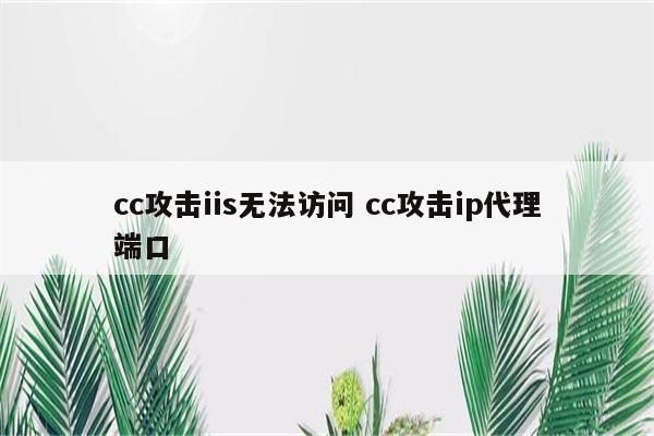 cc攻击iis无法访问 cc攻击ip代理端口