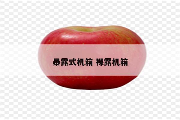 详细阅读:暴露式机箱 裸露机箱 暴露式机箱 裸露机箱