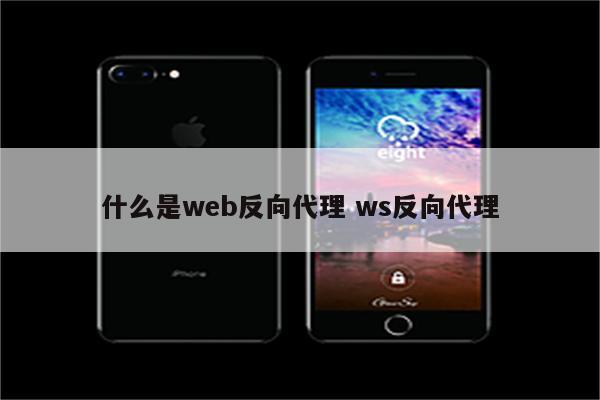 什么是web反向代理 ws反向代理