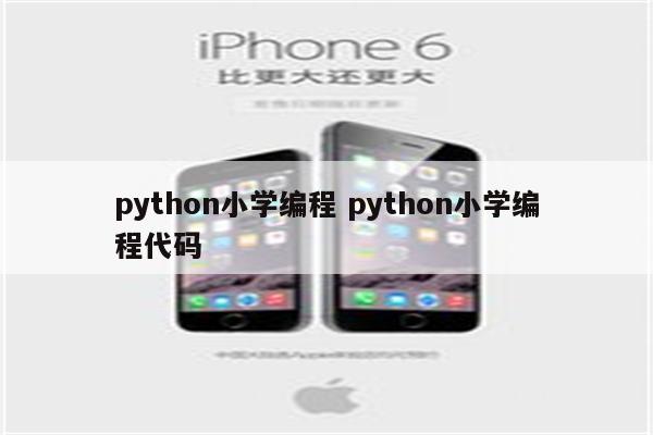 python小学编程 python小学编程代码