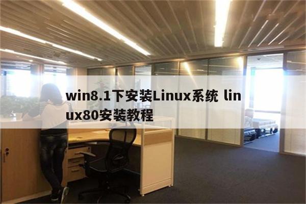 win8.1下安装Linux系统 linux80安装教程