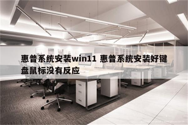 惠普系统安装win11 惠普系统安装好键盘鼠标没有反应