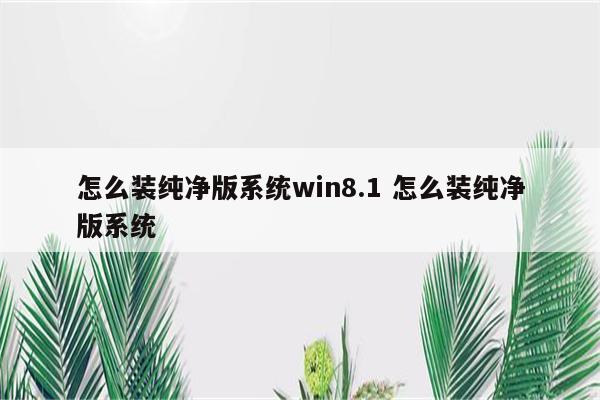 怎么装纯净版系统win8.1 怎么装纯净版系统