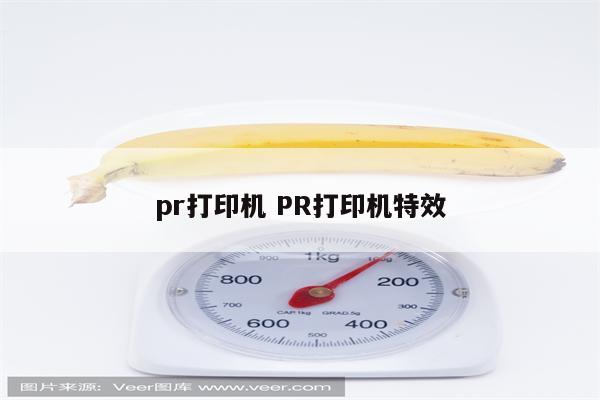 pr打印机 PR打印机特效