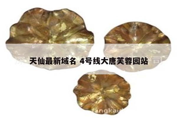 天仙最新域名 4号线大唐芙蓉园站