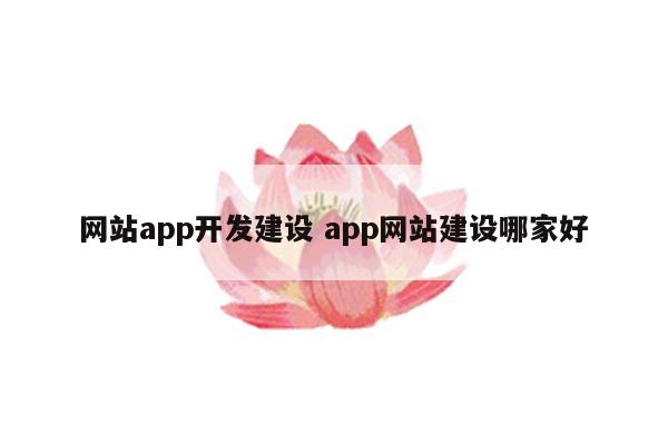 网站app开发建设 app网站建设哪家好