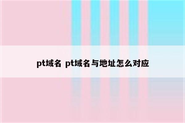 pt域名 pt域名与地址怎么对应