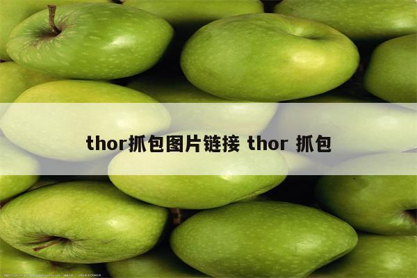 thor抓包图片链接 thor 抓包