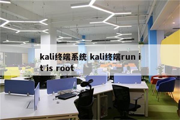 kali终端系统 kali终端run it is root