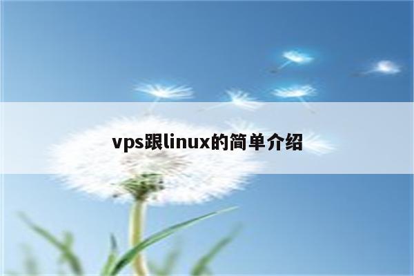 vps跟linux的简单介绍