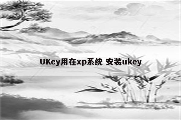 UKey用在xp系统 安装ukey