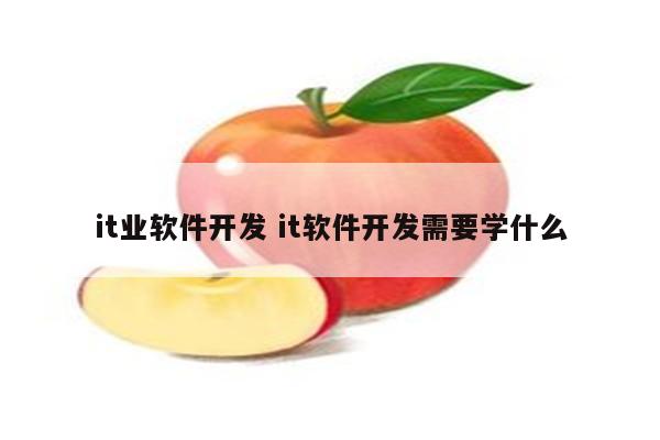 it业软件开发 it软件开发需要学什么