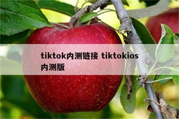 tiktok内测链接 tiktokios内测版