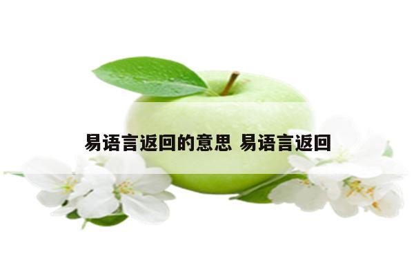 易语言返回的意思 易语言返回