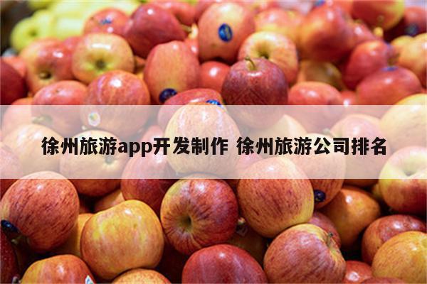 徐州旅游app开发制作 徐州旅游公司排名