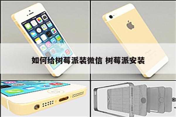 如何给树莓派装微信 树莓派安装