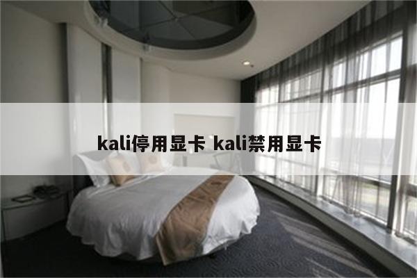kali停用显卡 kali禁用显卡