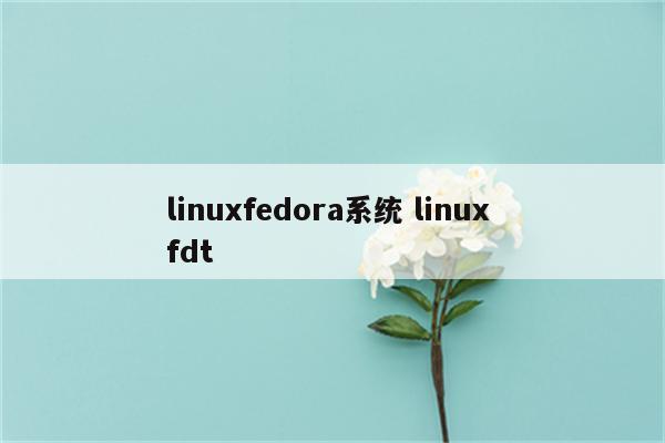 linuxfedora系统 linux fdt