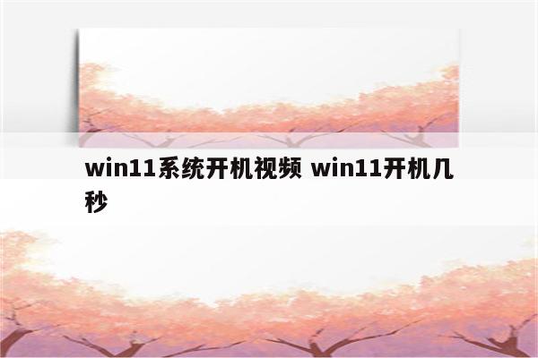 win11系统开机视频 win11开机几秒