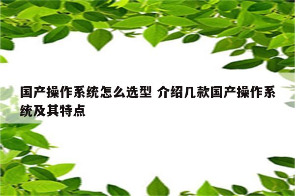 国产操作系统怎么选型 介绍几款国产操作系统及其特点