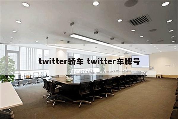 twitter轿车 twitter车牌号