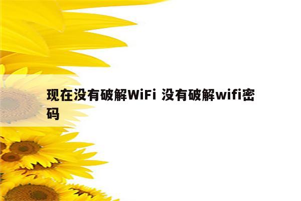 现在没有破解WiFi 没有破解wifi密码