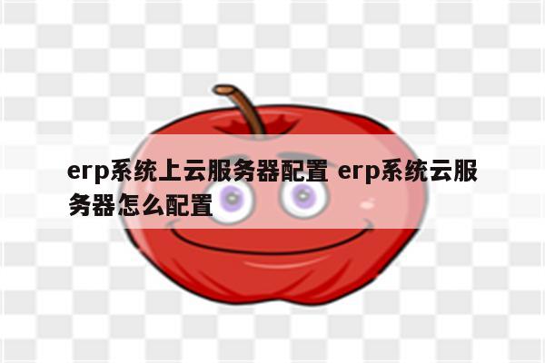 erp系统上云服务器配置 erp系统云服务器怎么配置