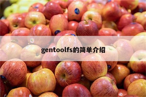 gentoolfs的简单介绍