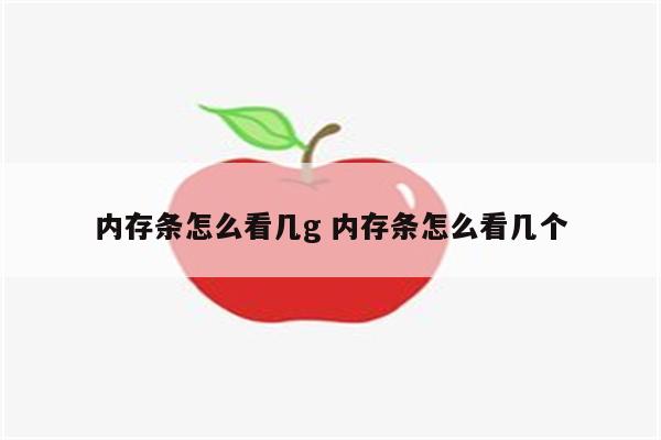 内存条怎么看几g 内存条怎么看几个