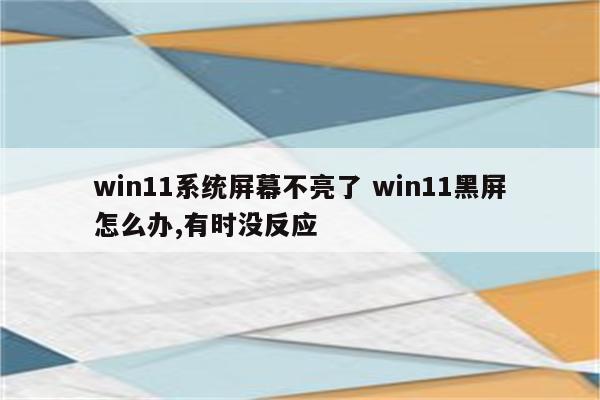 win11系统屏幕不亮了 win11黑屏怎么办,有时没反应