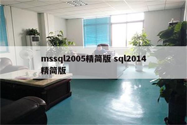 mssql2005精简版 sql2014精简版