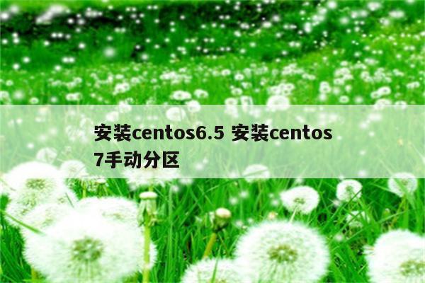 安装centos6.5 安装centos7手动分区