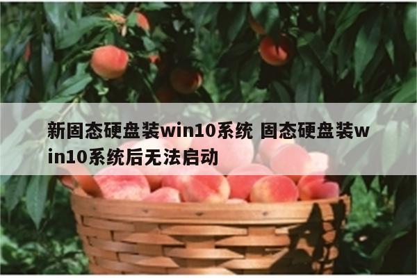 新固态硬盘装win10系统 固态硬盘装win10系统后无法启动