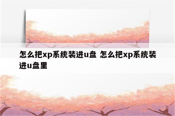 怎么把xp系统装进u盘 怎么把xp系统装进u盘里