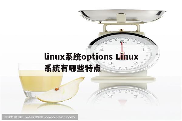 linux系统options Linux系统有哪些特点