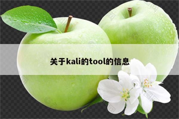 关于kali的tool的信息